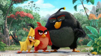 Sony Pictures tung trailer siêu nóng của phim 'Angry Birds'