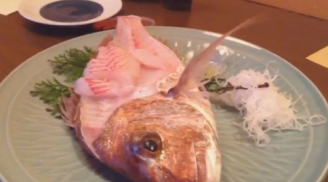Clip: Rùng mình cá bị róc gần hết thịt vẫn nhảy ra khỏi đĩa