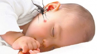 Mẹo trị vết côn trùng cắn ở trẻ nhỏ mẹ nào cũng nên biết
