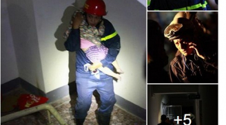Những hình ảnh rơi nước mắt trong vụ cháy chung cư Xa La