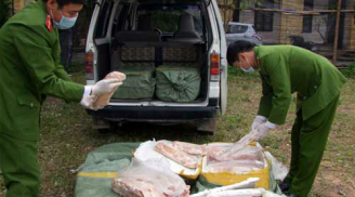 Thu giữ, tiêu huỷ gần nửa tấn nầm lợn thối tuồn vào từ Trung Quốc