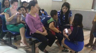 Hơn 50 học sinh ở Hà Nội phải nhập viện vì bị ong đốt