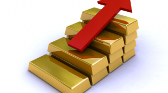 Giá vàng, Đô la Mỹ hôm nay 16-11: Giá vàng tăng vì khủng bố Paris