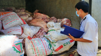 Bắt giữ khẩn cấp gần 5 tấn thịt heo bệnh tuồn ra chợ