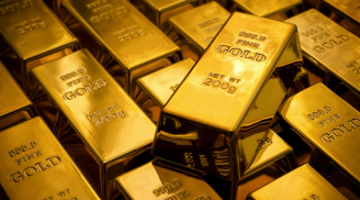 Giá vàng, Đô la Mỹ hôm nay (20-11): Giá vàng SJC và Đô la Mỹ tăng