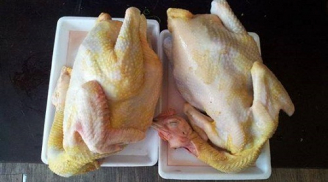 Cách đơn giản phân biệt gà ta với gà thải Trung Quốc