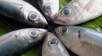 Nhìn mắt cá, mang cá là biết tươi hay không