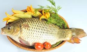 Đổi vị cho bữa trưa bằng món cháo cá bổ dưỡng