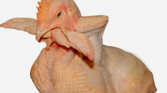 Ăn thịt gà không đúng cách gây hại cho sức khoẻ