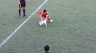 Cầu thủ U19 bị chó cắn trên sân bóng