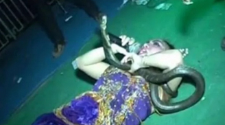 Ngôi sao nhạc pop Indonesia qua đời trên sân khấu vì bị rắn cắn