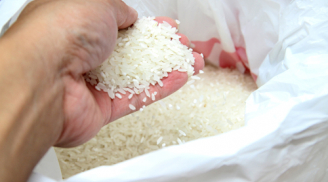 Cách nhận biết gạo 'ngậm' nhiều hóa chất - điều ai cũng cần