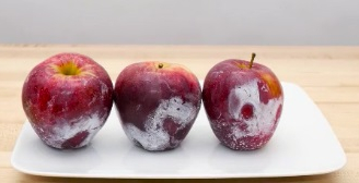 Nhận biết táo bọc sáp bảo quản và cách loại bỏ sáp