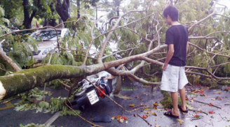 Lốc xoáy kinh hoàng ở Huế, 320 nhà dân bị tốc mái