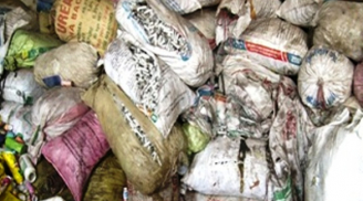 Hơn 100 bao tải chứa kim tiêm dính máu bị phát hiện ở Thái Bình