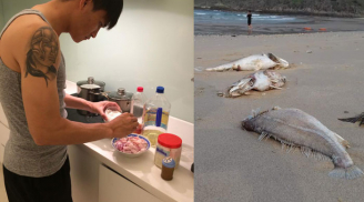 Sợ thịt lợn bẩn, Công Vinh bị ngộ độc vì ăn cá ở Đà Nẵng