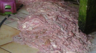 Hơn 5 tấn lòng lợn bẩn chuẩn bị vào bếp, lên bàn nhậu