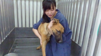 Cô gái xinh đẹp giết 700 con chó tự vẫn bằng thuốc trợ tử