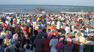 Cá voi chết ở biển Nghệ An: Ngư dân ở nhà làm tang cho 'ông voi'