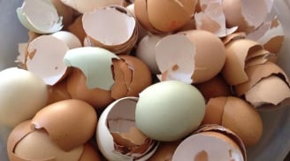 Vỏ trứng - tiên dược ngừa bách bệnh mà ai cũng đang vứt đi