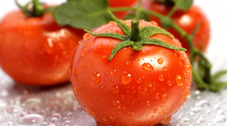 Tại sao cà chua lại được nhiều chuyên gia khuyên bạn nên ăn?