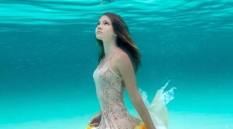 Những bức ảnh “siêu đẹp” dưới nước khiến vạn người mê!