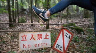 Khu rừng tự sát ở Nhật Bản: Bị ám bởi những linh hồn tự tử