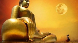14 câu trả lời của Đức Phật giúp bạn nhận ra hướng đi cuộc đời