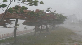 Nam Quảng Ninh đến Bắc Thanh Hóa ảnh hưởng trực tiếp bão số 1