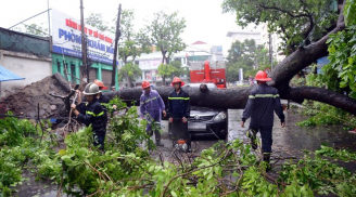 Danh sách các tuyến phố Hà Nội đang bị 'tê liệt' vì cây đổ do bão