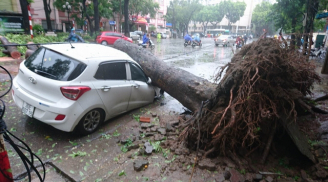 Bão số 1 càn quét ở Hà Nội, cây cối đổ ngổn ngang