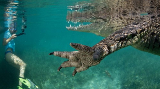 Hai cha con liều mạng selfie cùng cá sấu dưới đầm nước