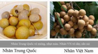 Cách phân biệt nhãn Trung Quốc và nhãn Việt Nam điều ai cũng cần