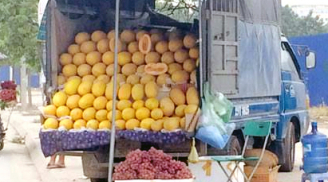 Thông báo: 8 loại hoa quả Trung Quốc nhập về Việt Nam NHIỀU NHẤT