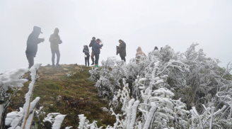 Đỉnh Mẫu Sơn băng tuyết trắng xóa lạnh thấu xương, du khách vẫn đổ xô lên chụp ảnh