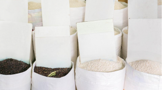 Bí quyết chọn gạo trước “ma trận” thực phẩm bẩn