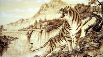 Tử vi trọn đời tuổi nhâm thân 1992 nam mạng