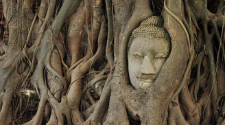 Ở đời có 3 người, dù phân cao thấp thắng thua cũng không có ý nghĩa gì!