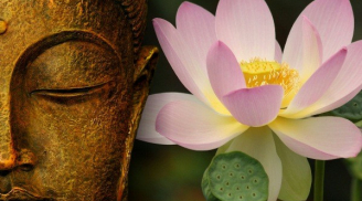 Phật dạy: Làm việc thiện cứu người gặp nạn, tuổi thọ kéo dài 12 năm