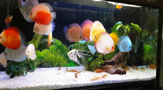 8 Điềm báo nếu gặp phải bạn dễ bị nạn “từ trên trời rơi xuống” mà khó thoát
