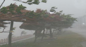 Dự báo thời tiết 6/10: Áp thấp nhiệt đới mới gây mưa lớn, gió giật mạnh