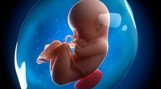 Lưu ý sự phát triển của thai nhi ở tuần 20