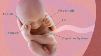 Sự phát triển của thai nhi trong tuần 21
