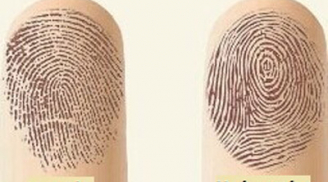 Nhìn hoa tay là biết có tướng quý nhân phù trợ, sự nghiệp thăng tiến dễ dàng hay không