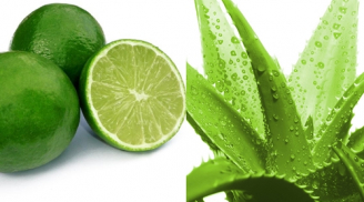 Trị mụn cực đơn giản với 1 thanh nha đam