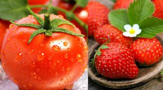 Hoa quả không chỉ tốt cho sức khỏe, mà còn giúp cải thiện làn da của bạn. Những hình ảnh hoa quả ăn đẹp da sẽ khiến bạn muốn bổ sung thêm chúng vào chế độ ăn hàng ngày ngay lập tức!