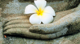 Dù tu mấy kiếp, Tâm Phật khẩu xà thì vinh hoa phú quý rồi cũng mất, nhớ điều này để giữ phúc báo
