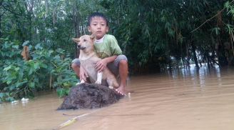 Nhói lòng: Bơi ra dòng nước lũ cứu chú chó nhỏ, cậu bé 6 tuổi bật khóc vì không thể vào bờ