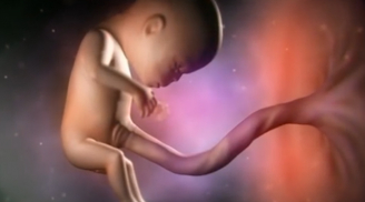 Hình ảnh chân thực cuộc sống bí ẩn của thai nhi 3 tháng đầu ít ai nói cho mẹ bầu biết