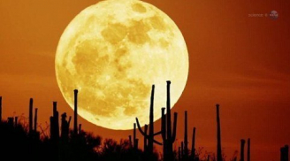 Siêu trăng xuất hiện, điềm báo về thảm họa trái đất sắp gặp?